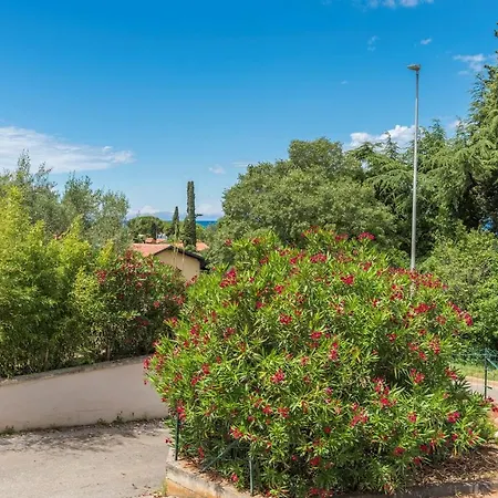 Raul In 公寓 达伊拉