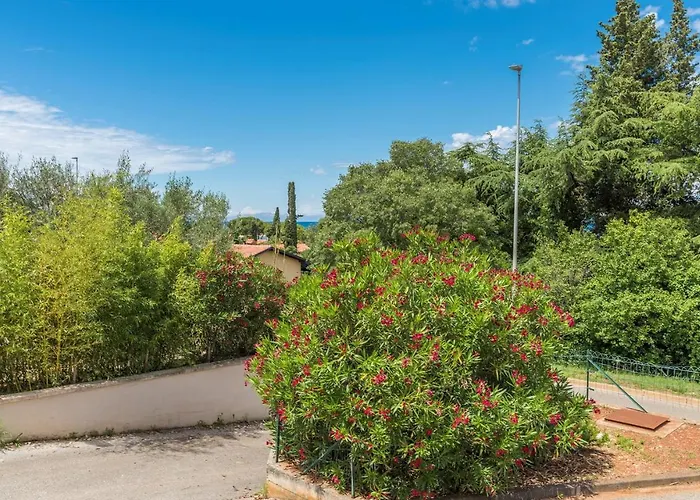 Raul In Apartman Dajla