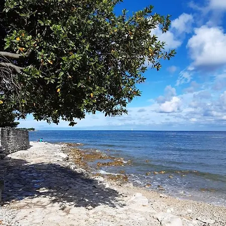 Raul In Apartman Dajla