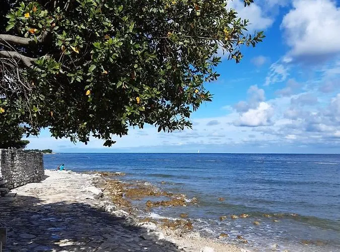 Raul In Apartment Dajla